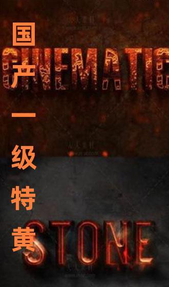 国产1级,引领科技潮流，铸就民族品牌辉煌